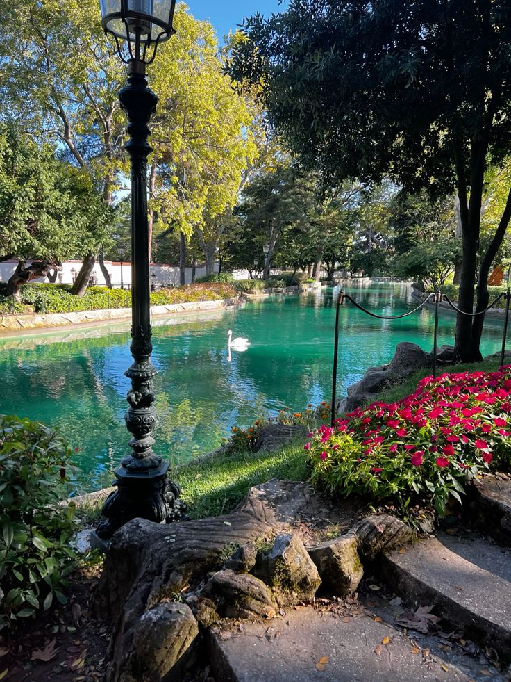 Boğaz ve İstanbul Manzaralı Tur