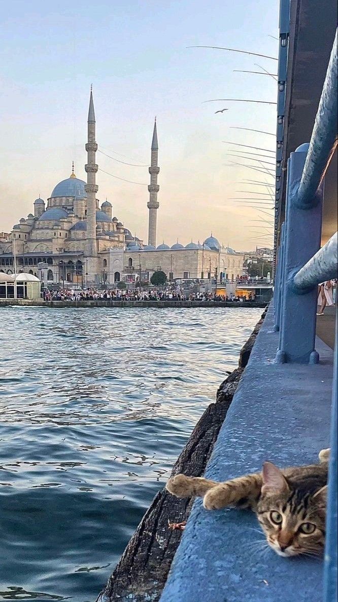 Boğaz ve İstanbul Manzaralı Tur